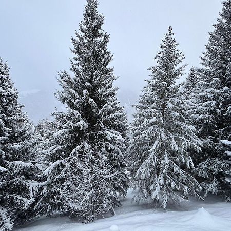 Bellavista Marilleva 1400 - Val Di Sole Daire Dış mekan fotoğraf